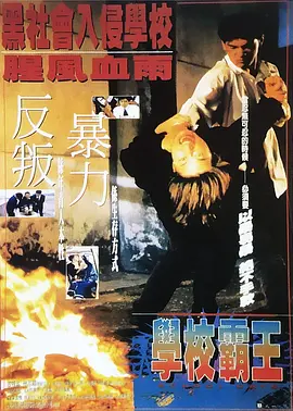 稍后再看