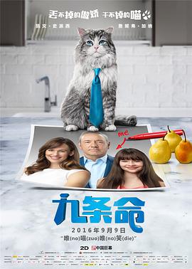一个做妻子的资格