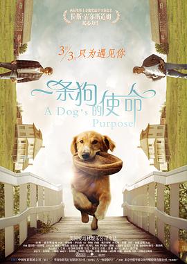 中文在线电影