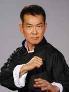 蜘蛛池是什么意思