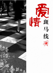 91视频污污版
