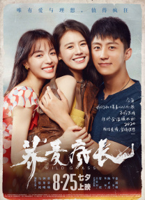 街边的美人图
