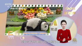 黄美女网站